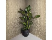 86541 Marburg Felix Diener Eclectic Farbe gold Vliestapete