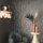 86555 Marburg Felix Diener Eclectic Farbe grau Vliestapete