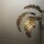 86560 Marburg Felix Diener Eclectic Farbe beige Vliestapete
