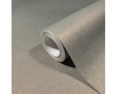 86562 Marburg Felix Diener Eclectic Farbe silber Vliestapete