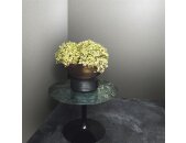 86570 Marburg Felix Diener Eclectic Farbe grau, beige Vliestapete