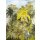 V145-4M Tapeten Essener Panorama 2 Farbe gelb, grau, grün Wandbild