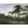 V151-2V Tapeten Essener Panorama 2 Farbe grün, Frühling Wandbild