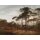 V151-3V Tapeten Essener Panorama 2 Farbe bunt, Herbst Wandbild