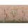 V155-1M Tapeten Essener Panorama 2 Farbe Pink Wandbild