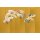 V160-1V Tapeten Essener Panorama 2 Farbe gold Wandbild