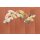 V160-2C Tapeten Essener Panorama 2 Farbe Orange, Lachs Wandbild