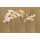 V160-3M Tapeten Essener Panorama 2 Farbe braun Wandbild