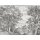 V161-1M Tapeten Essener Panorama 2 Farbe grau Wandbild