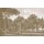 V162-2C Tapeten Essener Panorama 2 Farbe beige Wandbild