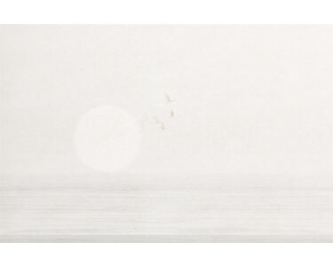 V170-2C Tapeten Essener Panorama 2 Farbe grau Wandbild