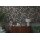AS 790622 Tapeten A.S Creation CosmoLiving Farbe Schwarz Bunt Blau Rosa Gelb Vliestapete