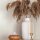 82513 Tapeten Marburg Oriana beige Vliestapete