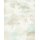 1055702 Tapeten Erismann Forest Dreams Farbe beige Vliestapete