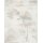 1055737 Tapeten Erismann Forest Dreams Farbe taupe Vliestapete