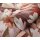 Erismann 10586-06 Pure Harmony Vliestapete Blumen Rot Modern