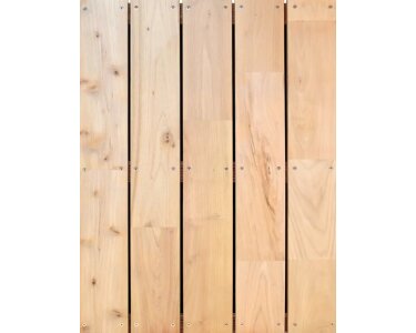 Jordan Robinie Terrassendiele 22 x 120 x 3000 mm – keilgezinkt – einseitig glatt gehobelt – Hartholz Terrasse